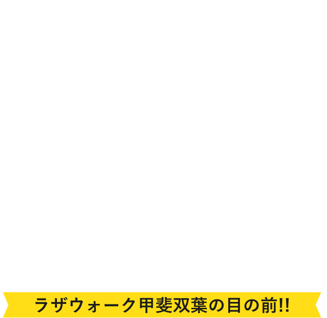 オプトヴィレッジ分譲現地相談会 甲斐市志田12区画 ラザウォーク甲斐双葉の目の前!!